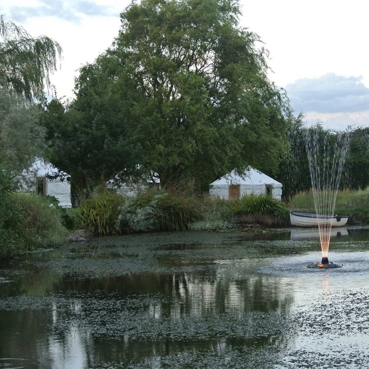 Lovely rural setting at Suffolk Retreat - yurts for up to 5 guests